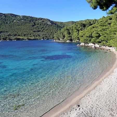 Apartments With A Parking Space Zuljana, Peljesac - 4573 외부 사진