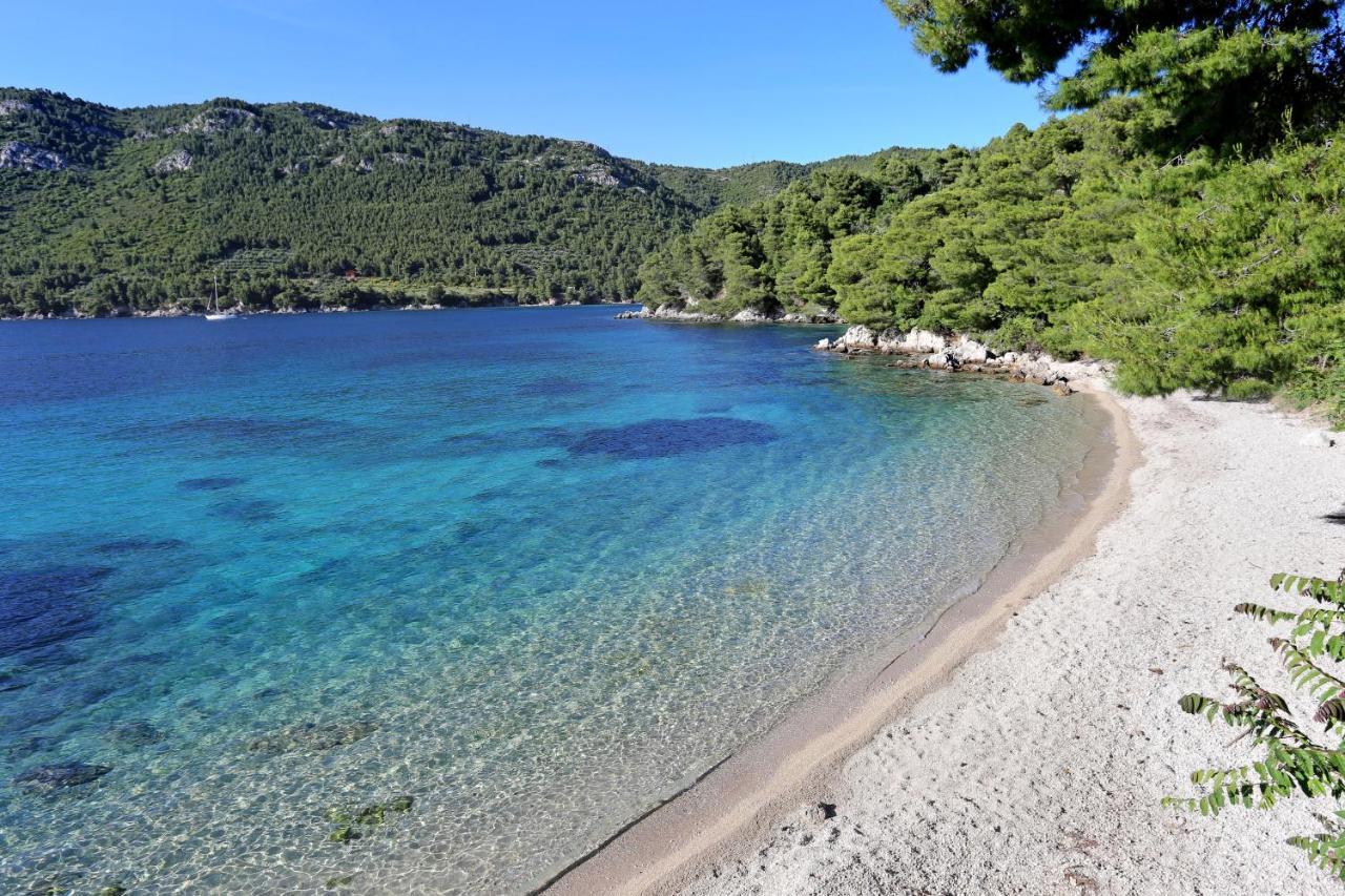Apartments With A Parking Space Zuljana, Peljesac - 4573 외부 사진